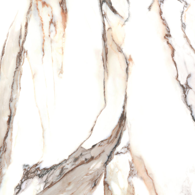 Calacatta Gold 48 x 48 (Polished)