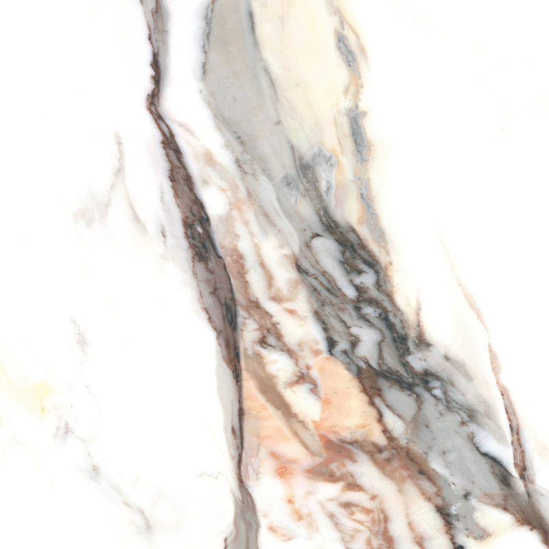 Calacatta Gold 48 x 24 (Polished)