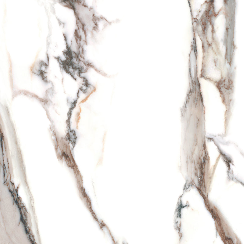 Calacatta Gold 48 x 24 (Polished)