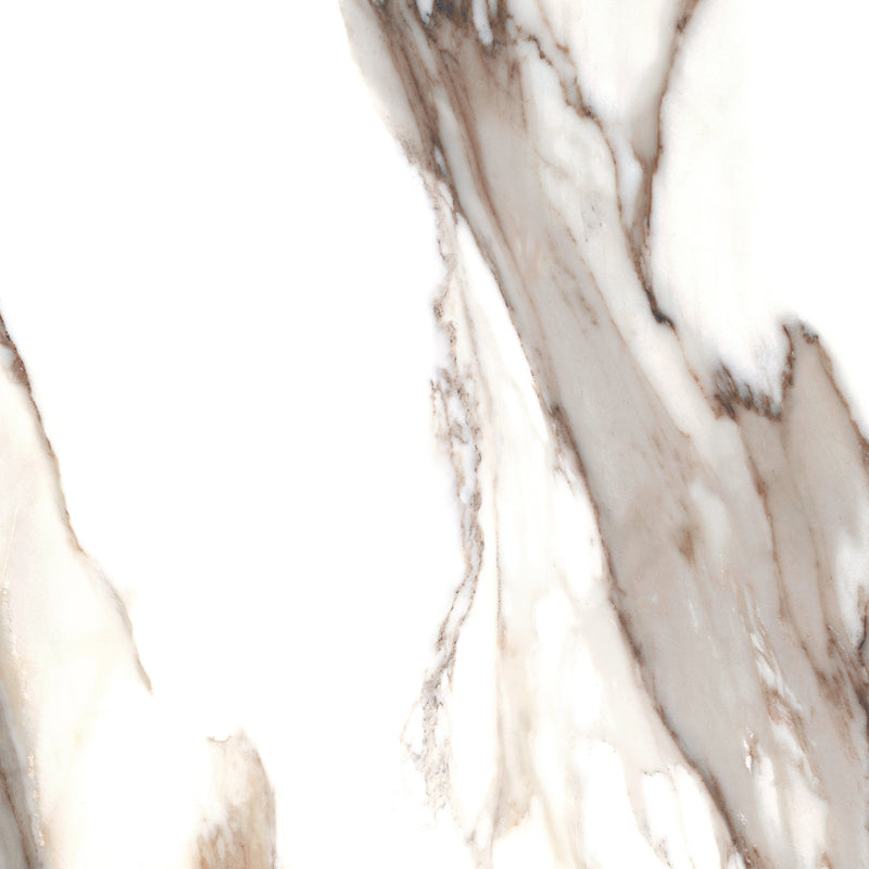 Calacatta Gold 48 x 24 (Polished)