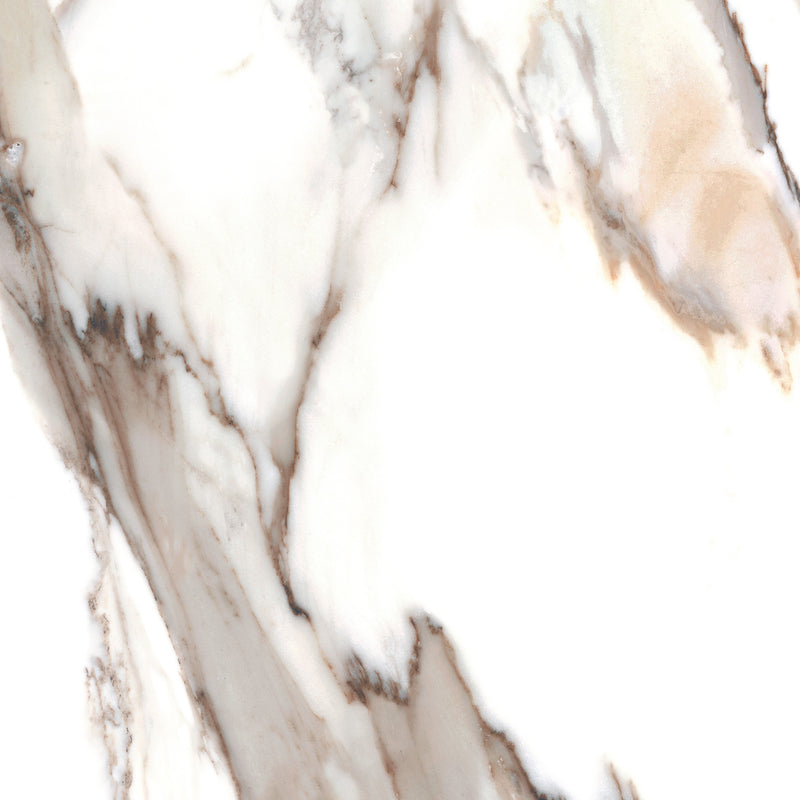 Calacatta Gold 24 x 24 (Polished)