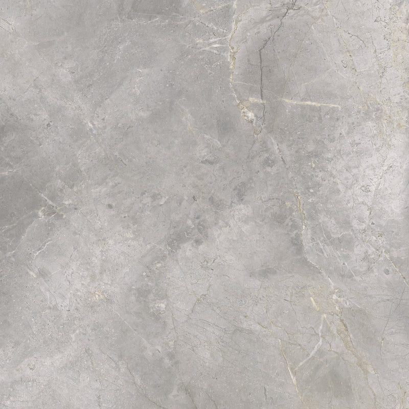 Masterstone Silver 48 x 48 (Polished)