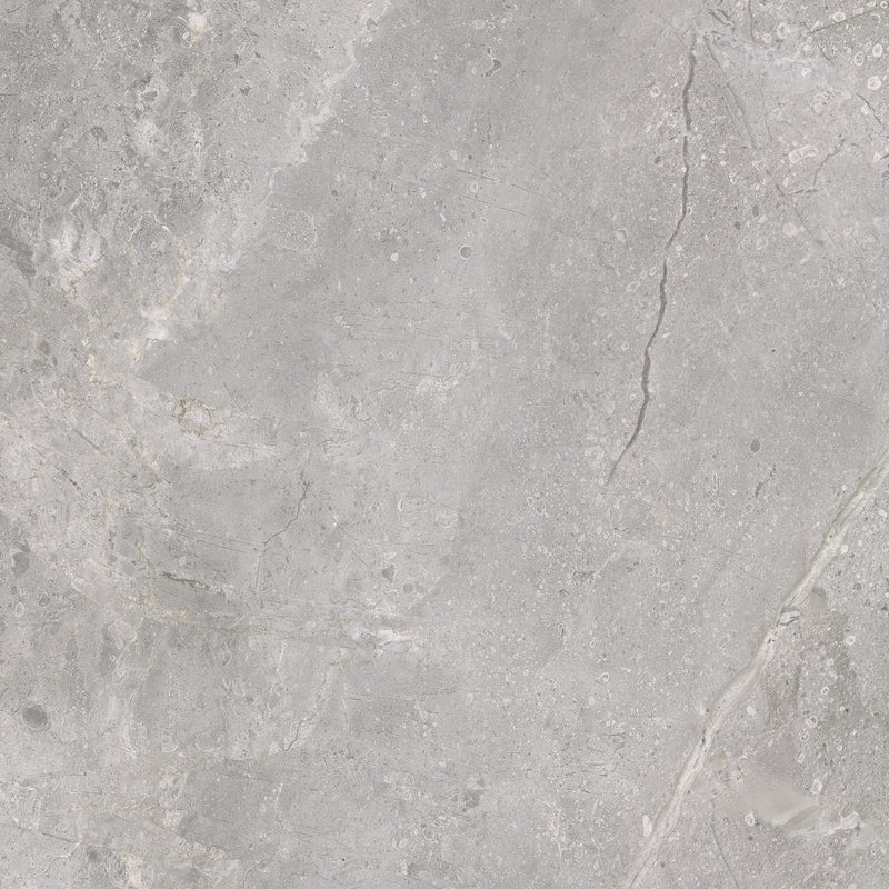 Masterstone Silver 48 x 24 (Matte)