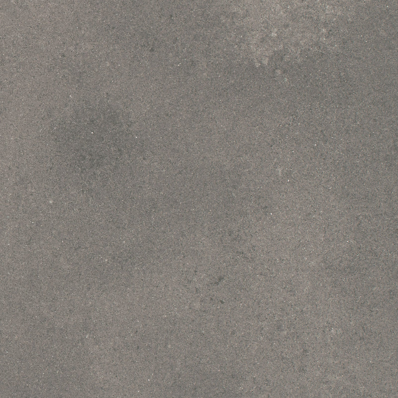 Neutro Grey 24 x 12 (Matte)
