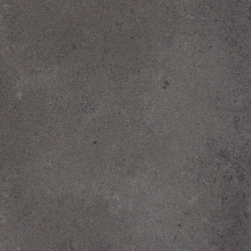 Neutro Graphite 24 x 12 (Polished)