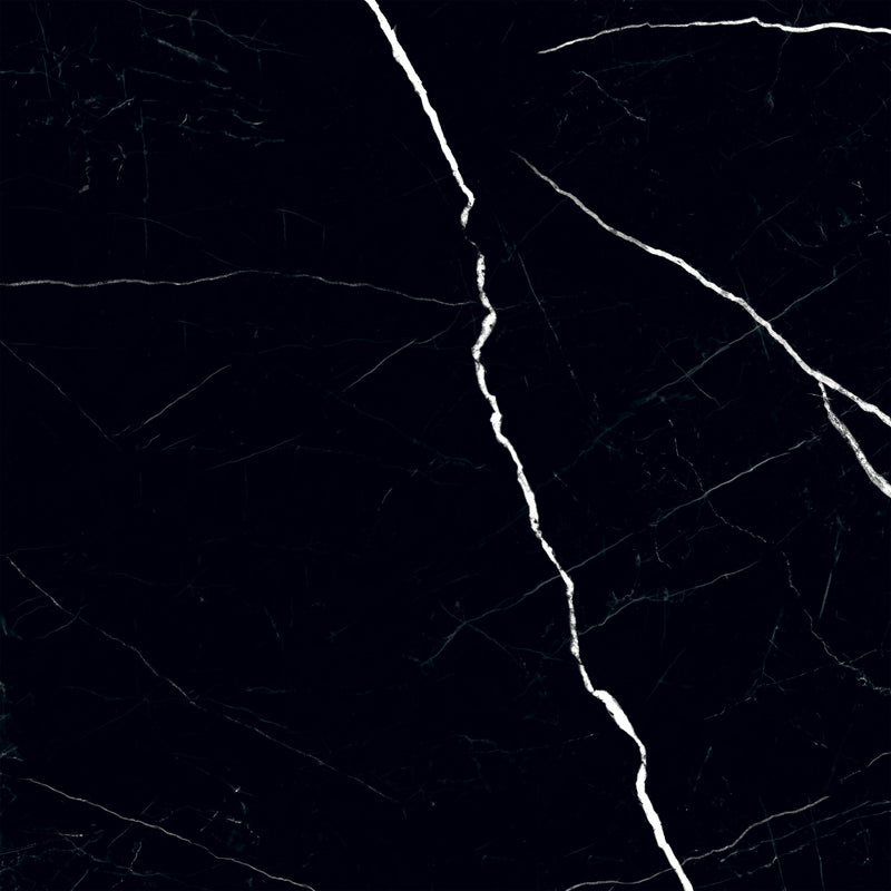 Pulpis Black 24 x 24 (Polished)