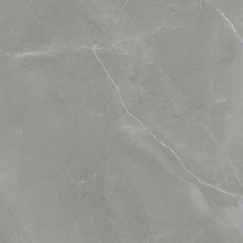 Pulpis Grey 48 x 24 (Santin)