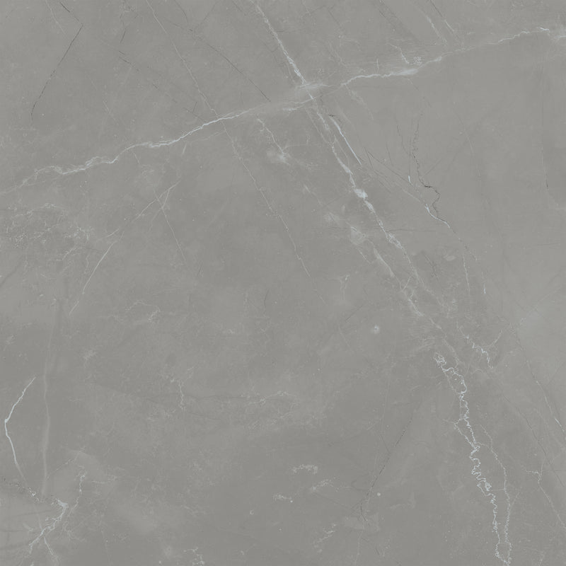 Pulpis Grey 24 x 24 (Polished)