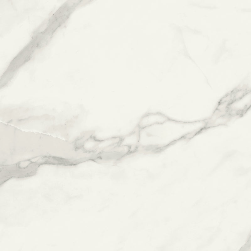 Pietrasanta White 48 x 24 (Polished)