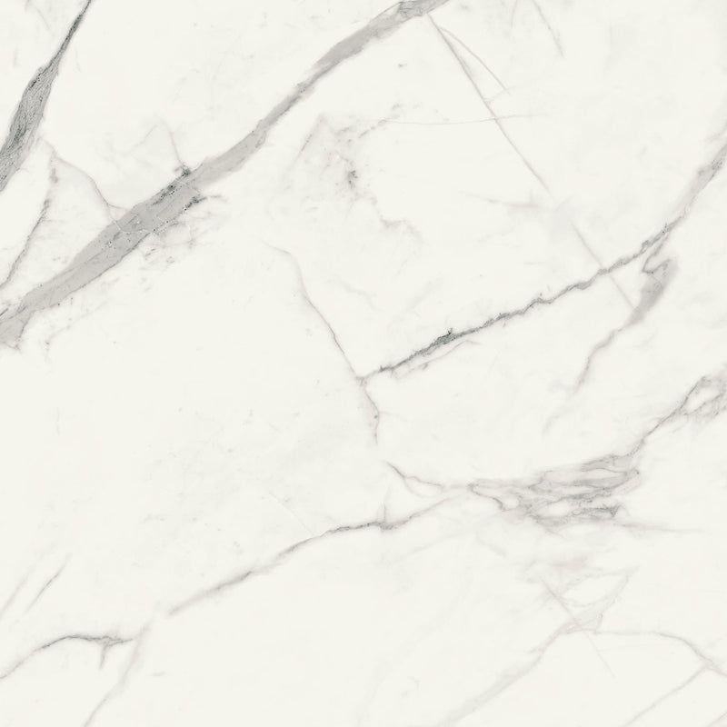 Pietrasanta White 96 x 48 (Polished)