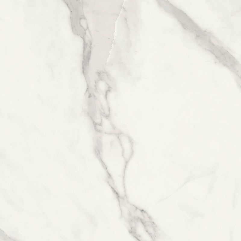 Pietrasanta White 48 x 24 (Matte)