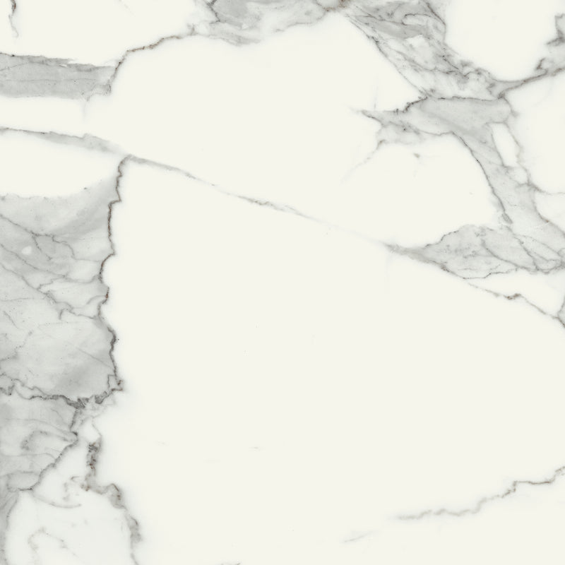 Specchio Carrara White 48 x 24 (Matte)