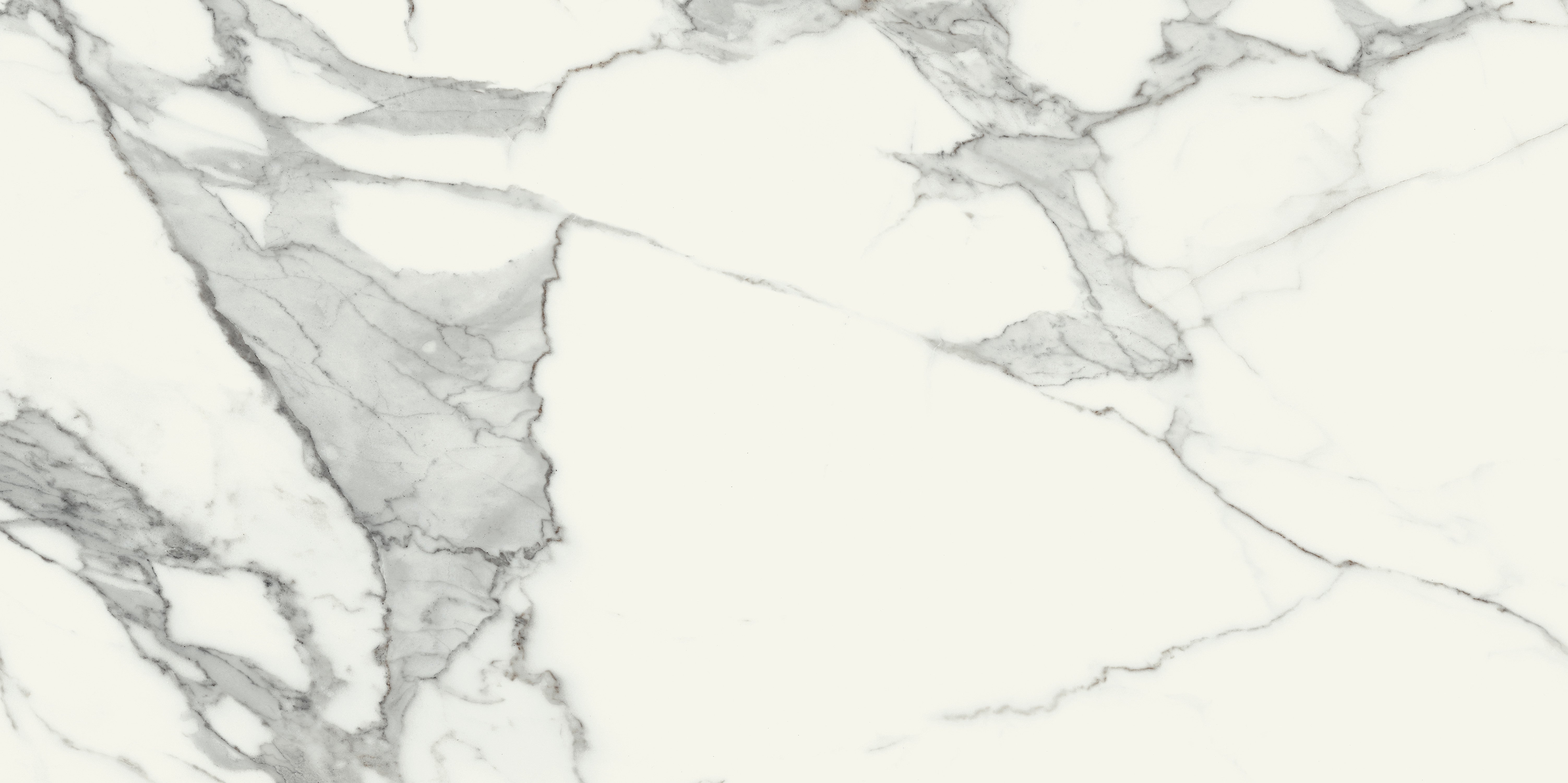Specchio Carrara White 48 x 24 (Matte)
