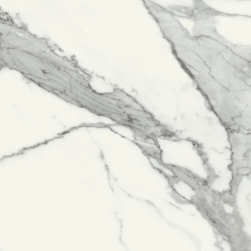 Specchio Carrara White 24 x 24 (Matte)