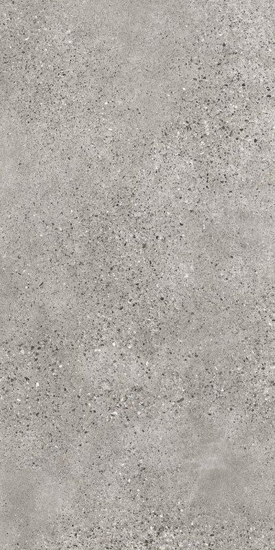 Terrazzo Grey 48 x 24 (Matte)
